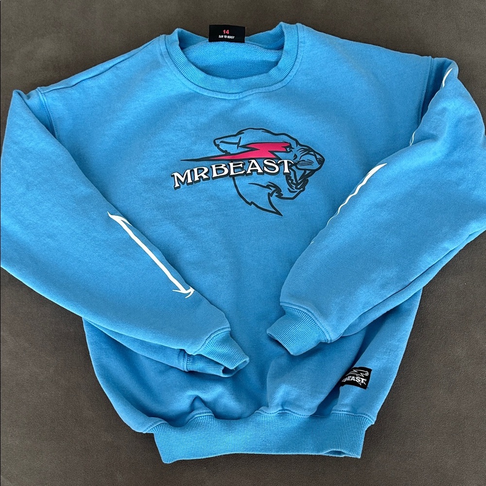 Mr. Beast Blue Sweatshirt